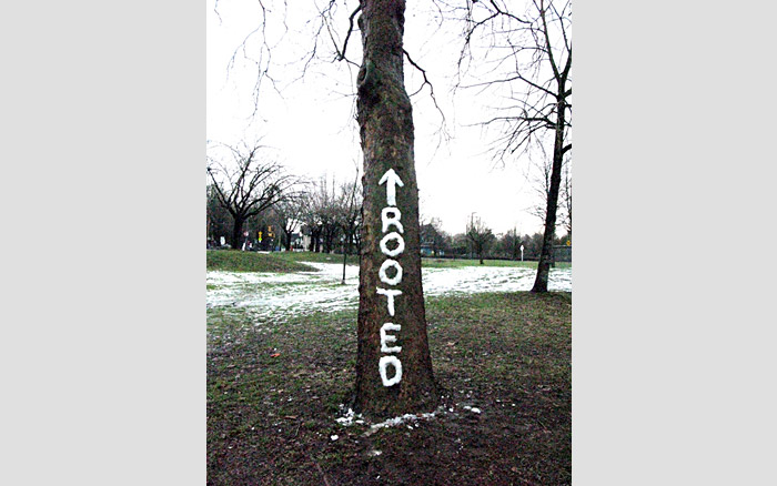 Snow & Ice Text | Uprooted, 2011